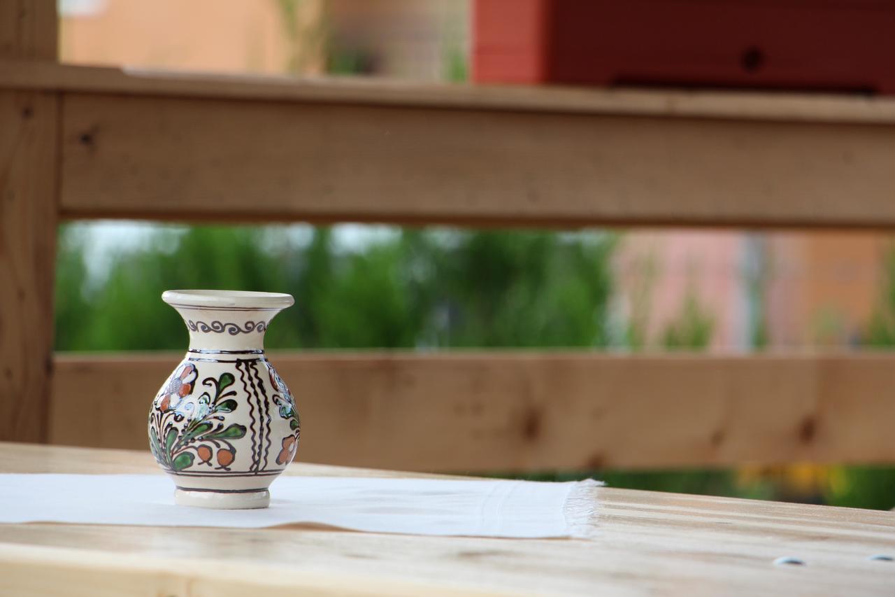 Casa Ralucai Otel Moisei Dış mekan fotoğraf
