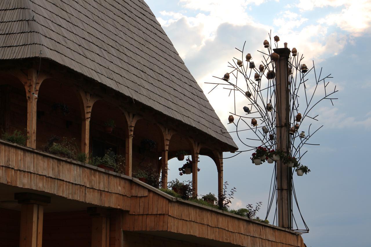 Casa Ralucai Otel Moisei Dış mekan fotoğraf